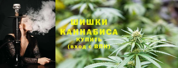 мдпв Волоколамск